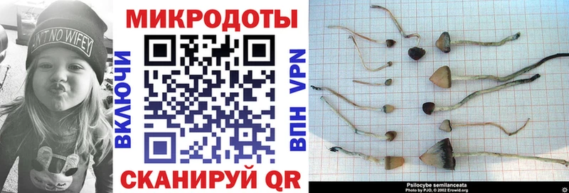 наркошоп  Энгельс  Псилоцибиновые грибы мицелий 