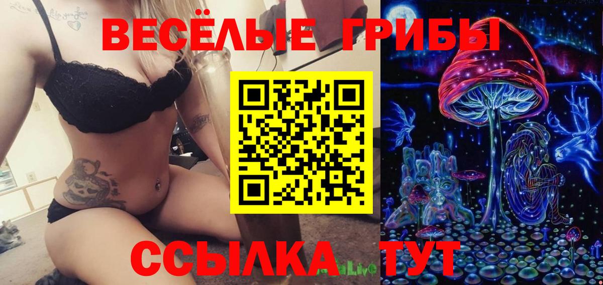 Галлюциногенные грибы MAGIC MUSHROOMS Энгельс