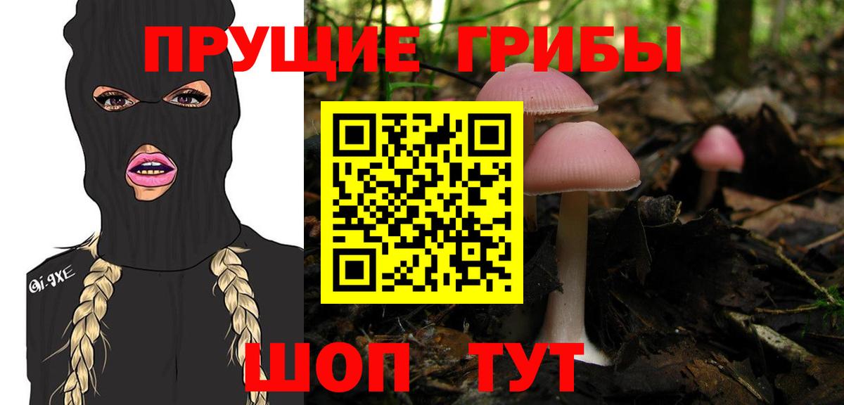Псилоцибиновые грибы GOLDEN TEACHER  Вход с VPN  Энгельс  Галлюциногенные грибы GOLDEN TEACHER 