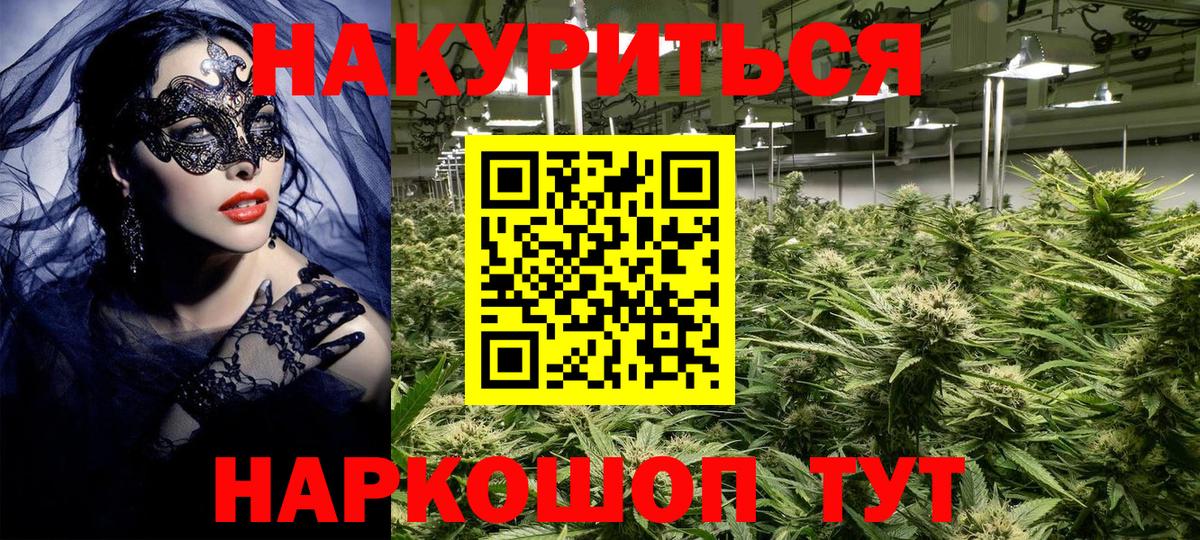 Марихуана OG Kush Энгельс